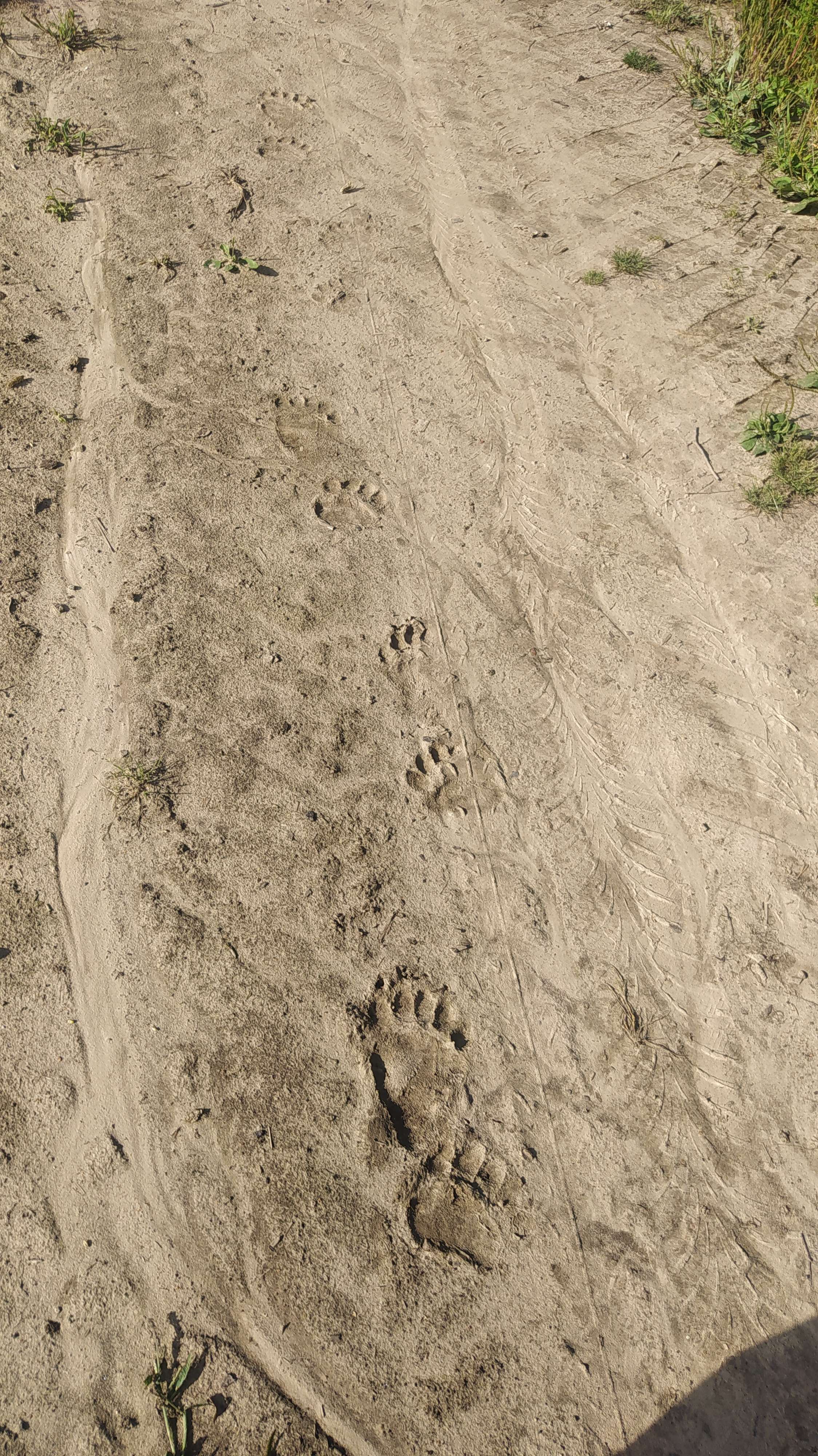 Could you please identify this guy?