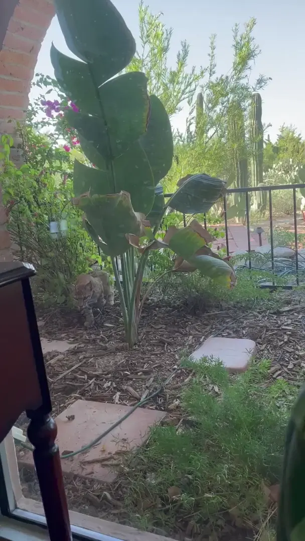 Coworker is in hospital and got a good visitor