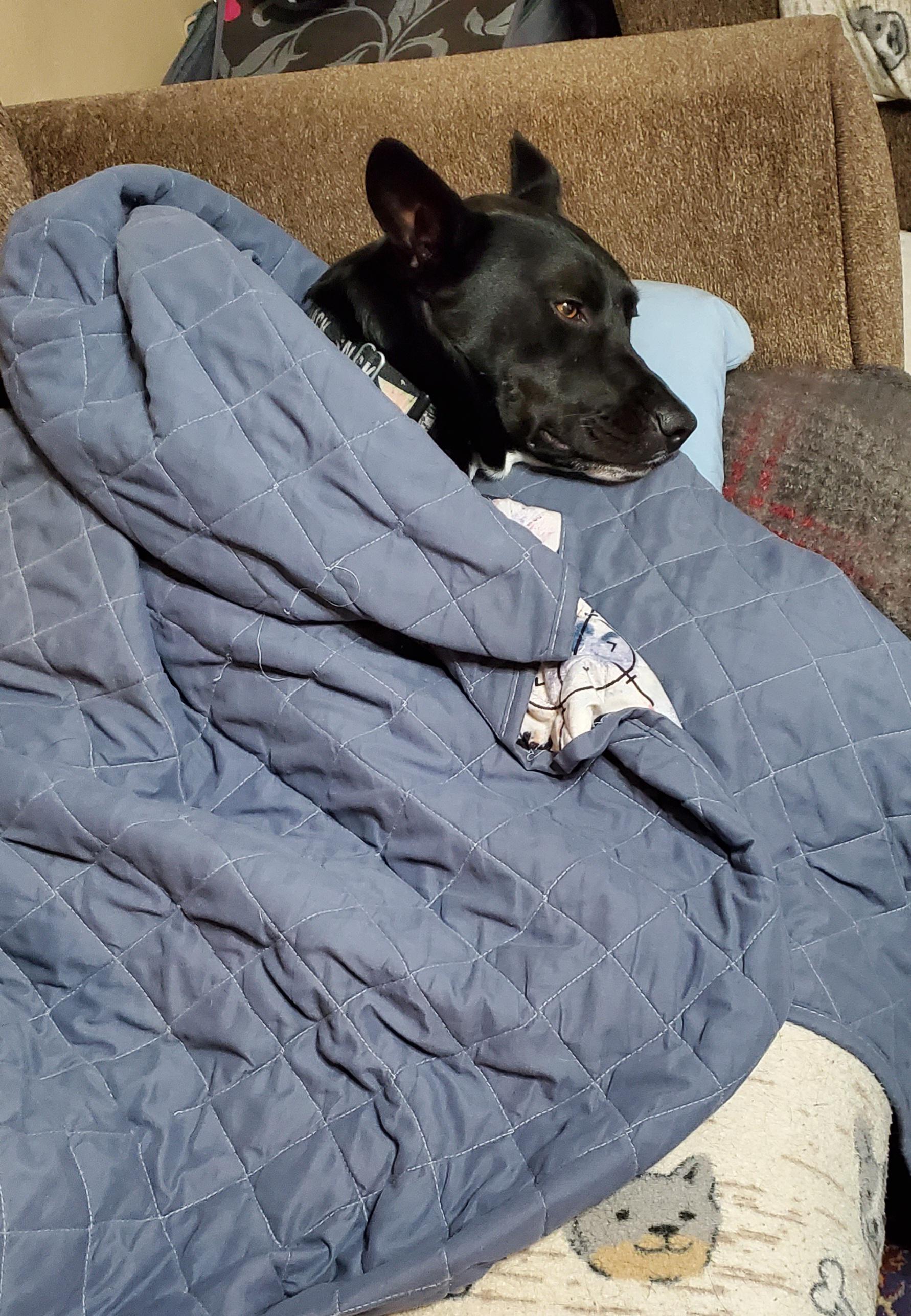 Cozy Couch | Scrolller