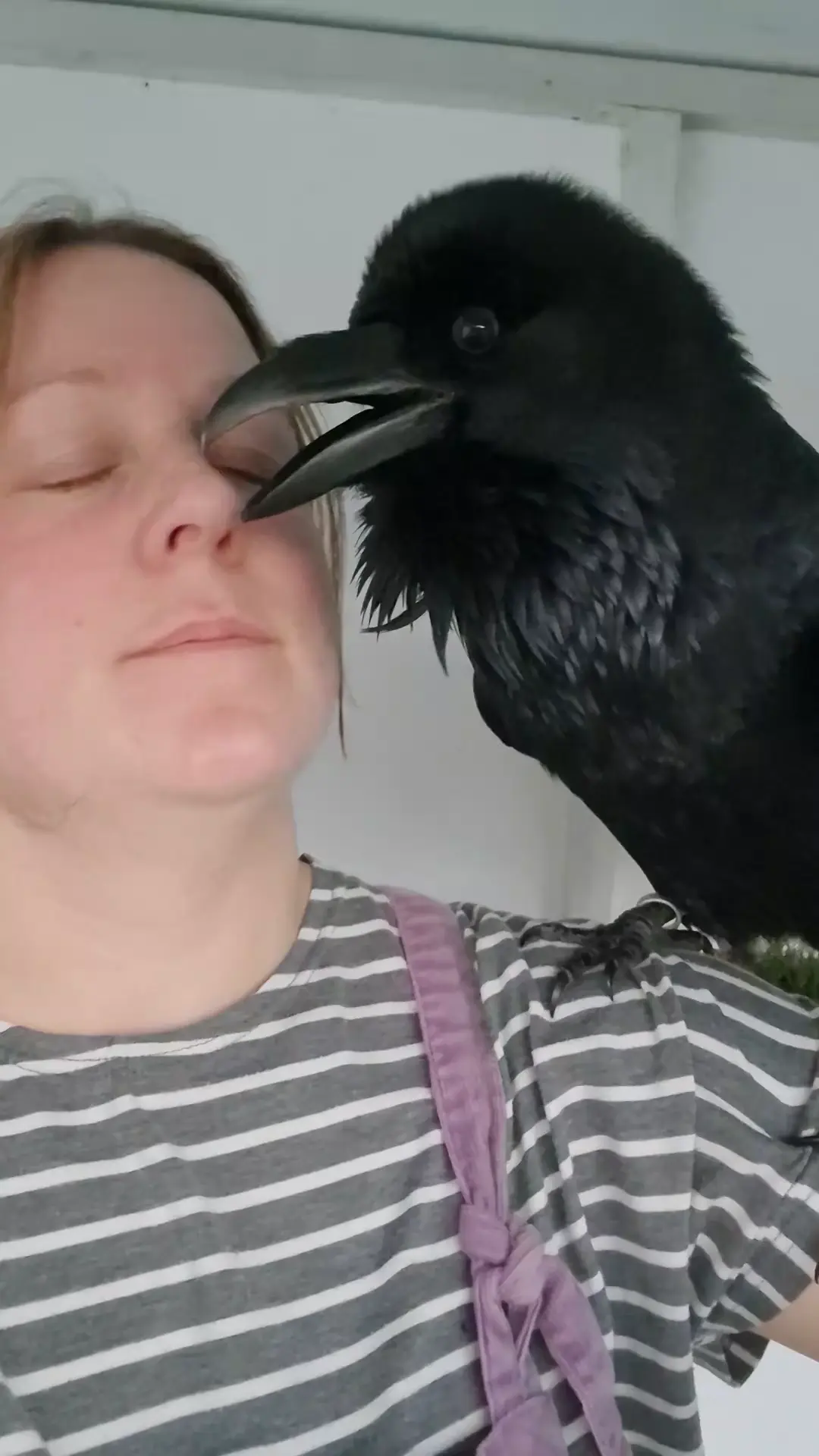 Crows 🐦‍⬛ sound like humans 