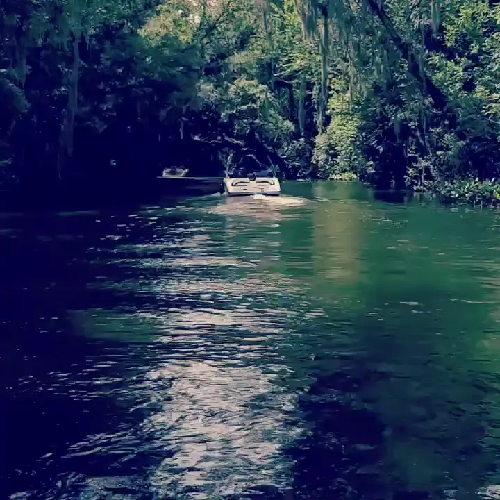 Cruising on a Sunday