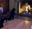 Cult of fire worship 
