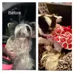 Curly Sue’s Rags to Riches 