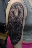 Fresh barn owl by Joseph Fraganato at Inked Up Tattoo in Cbus OH. Slowly finishing my sleeve!