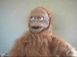 mrw lockdown and 3g of lemontek shroomyy-roomies