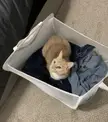 Clean laundry. Works every time.