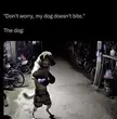 My dog doesn’t bite 