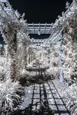 Trellis trimming
