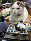 Pens holder