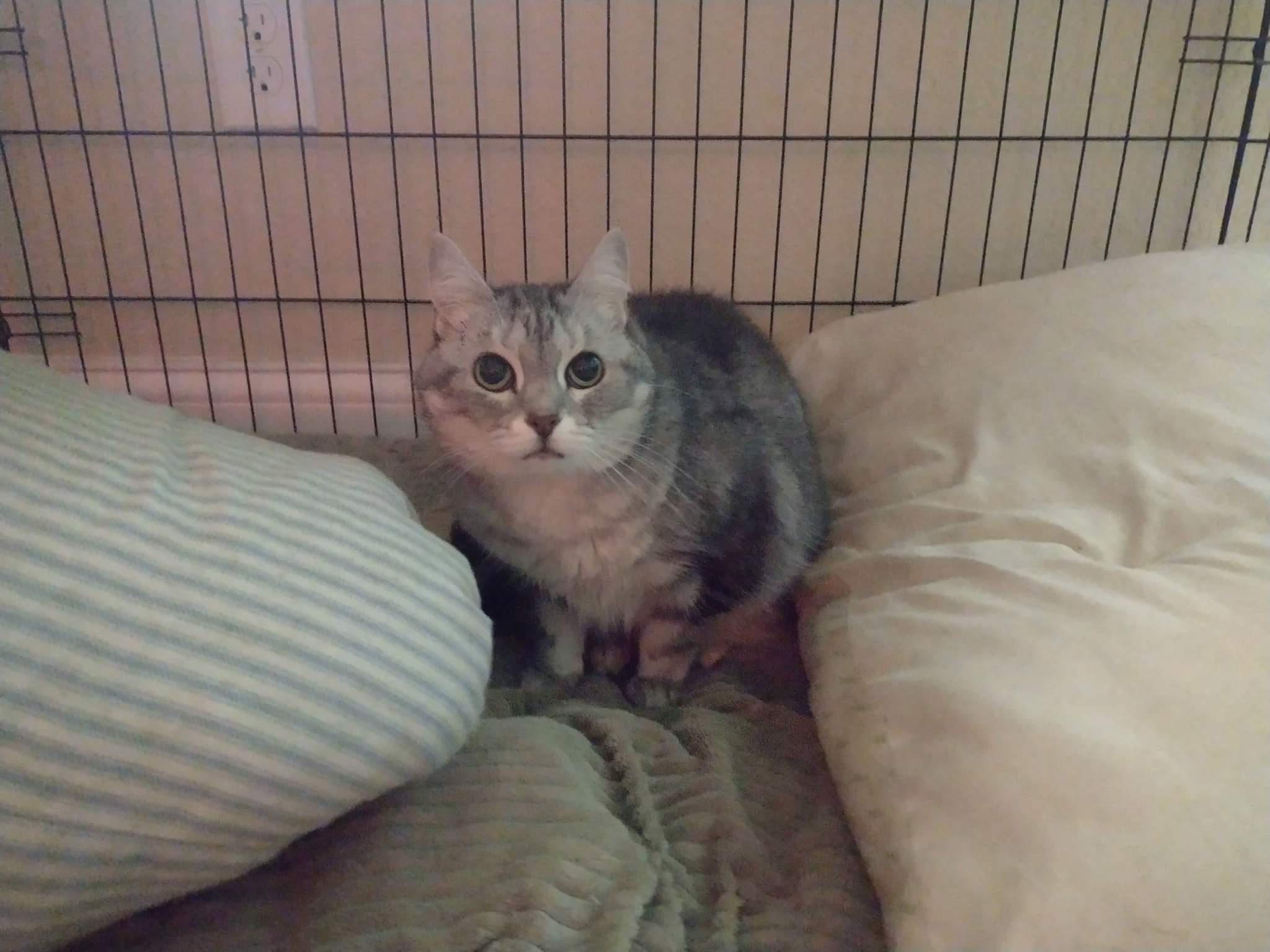 Relationship: It's complicated