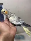 Looks like a girl but I want to be sure?