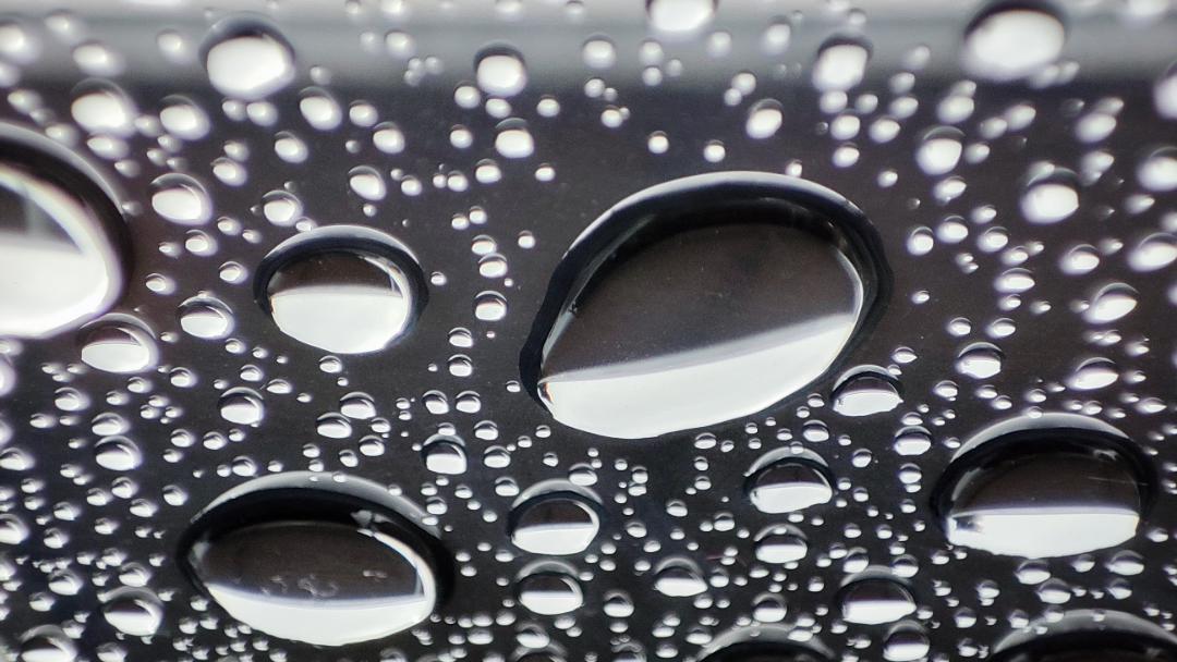 more raindrops using the macro lens on my phone