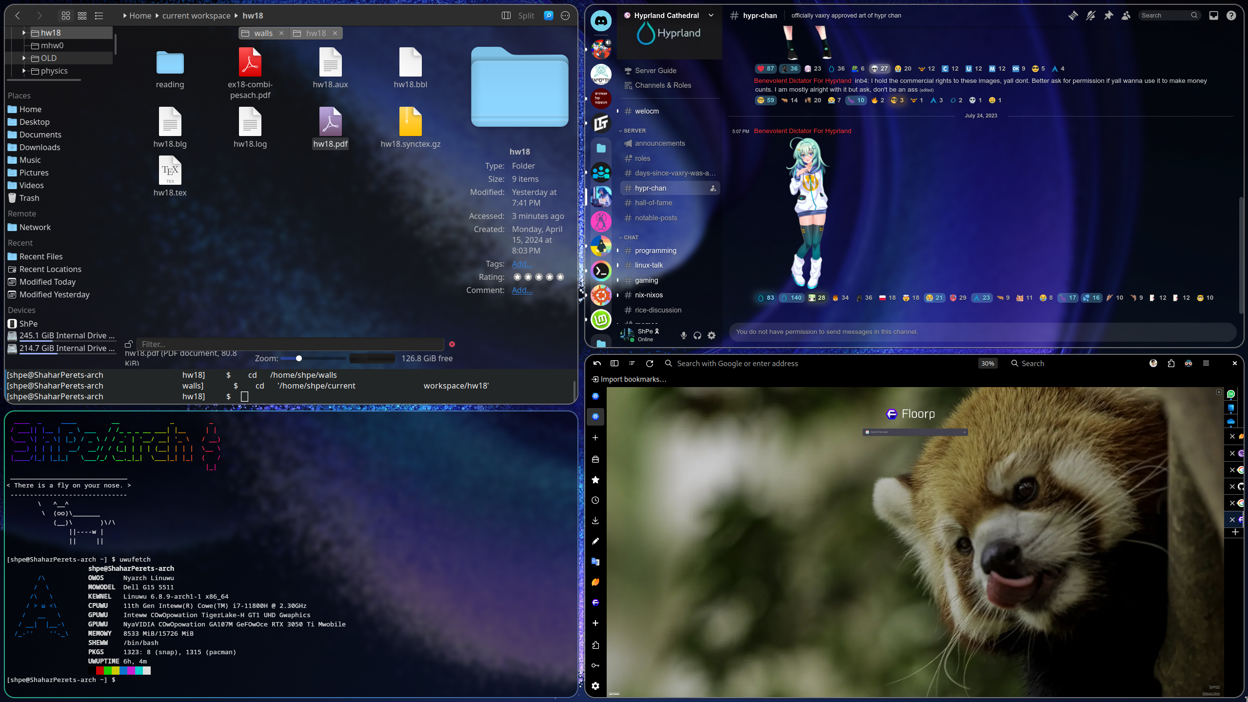 Basic [hyprland] setup, my first rice here | Scrolller