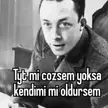 liseliler