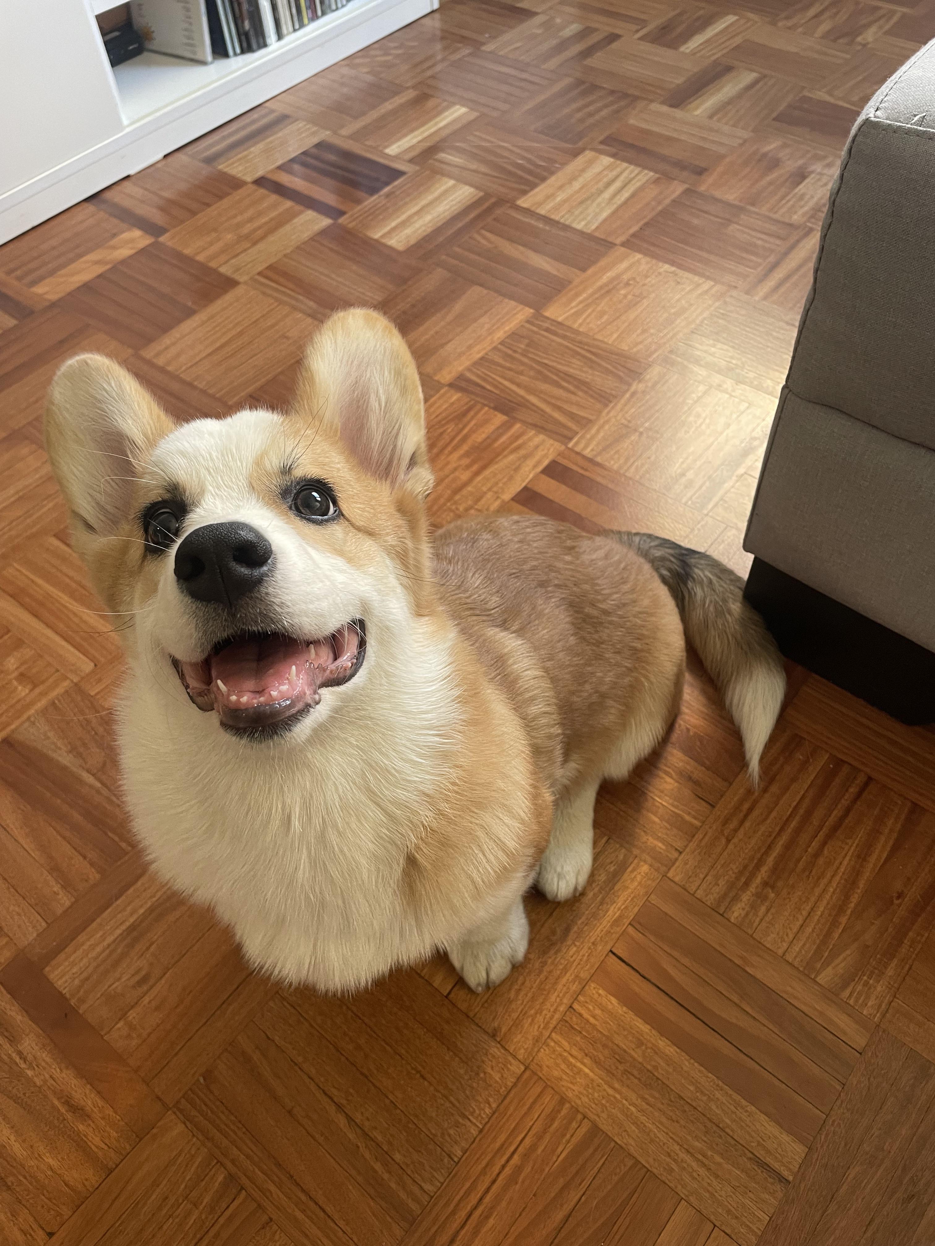 My baby is 4 months old today