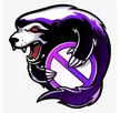 Outsiders logo and name