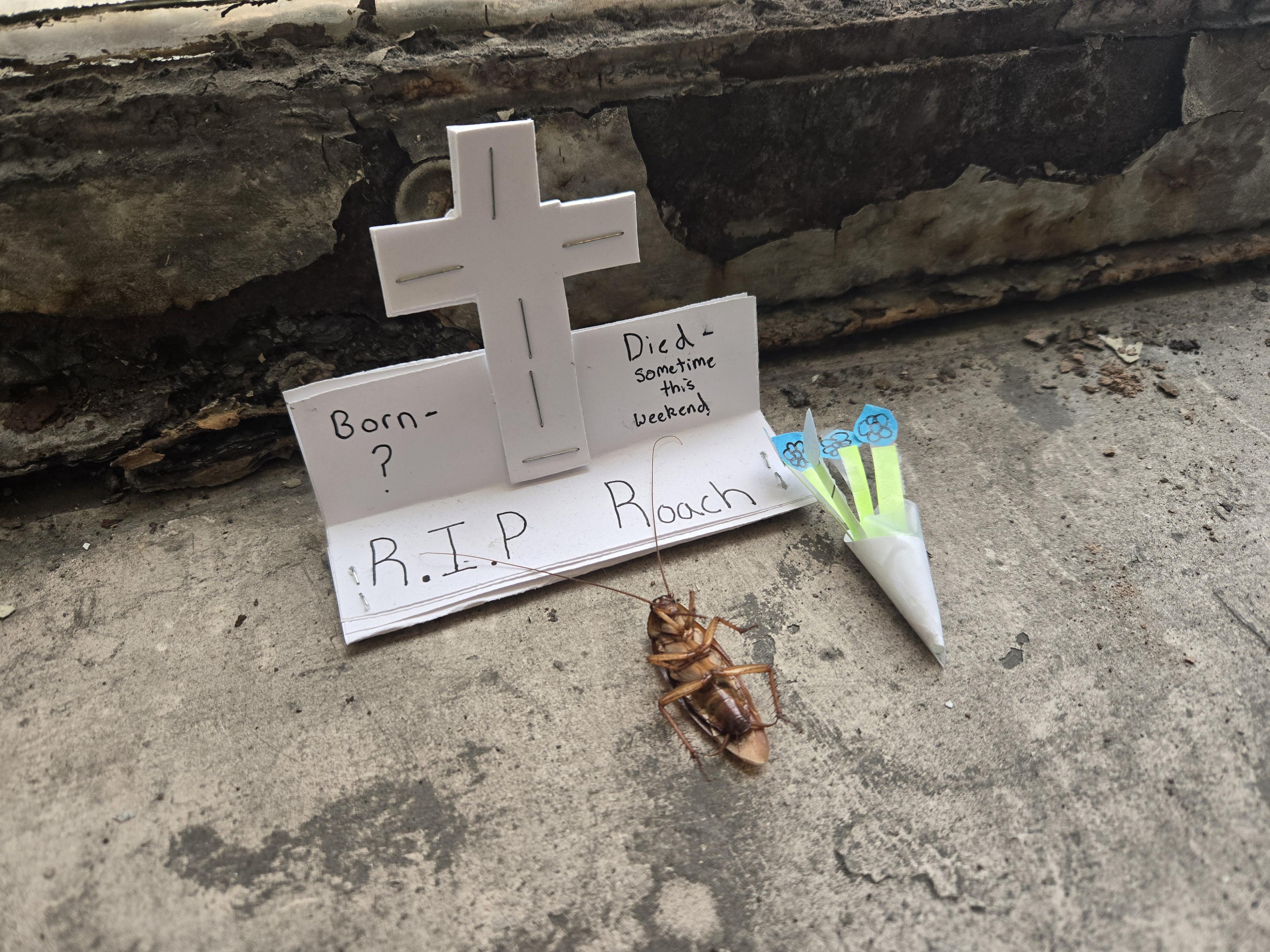 Someone made a shrine for a dead cockroach in my work building | Scrolller
