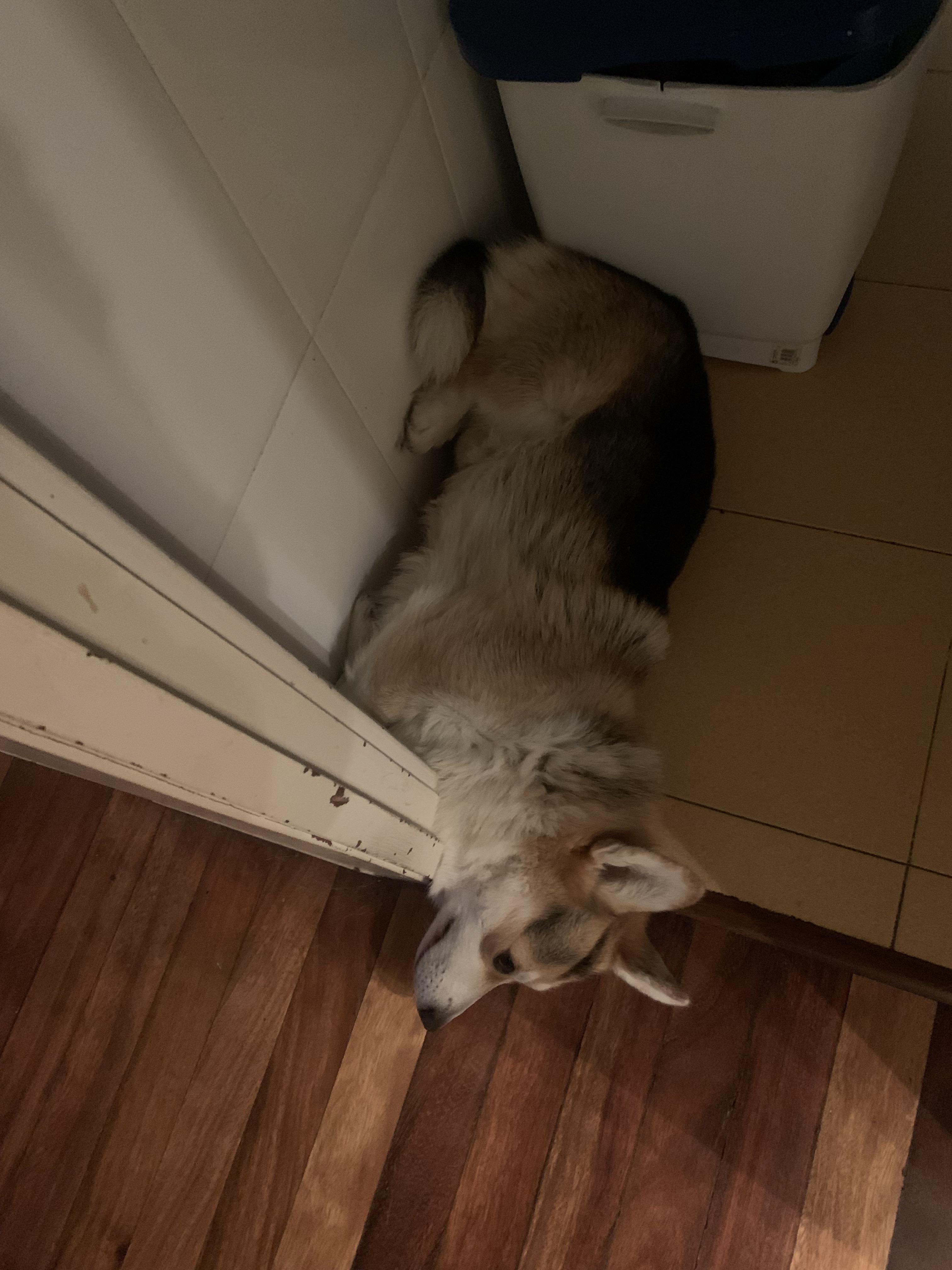 Perfectly fit
