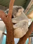 Taking a nap after a long day