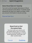 Any way around resetting end-to-end encrypted data?