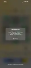 Anyone else seen these fake SMS popups? iOS 16.2 - Happening on wife’s phone and takes up the whole screen.