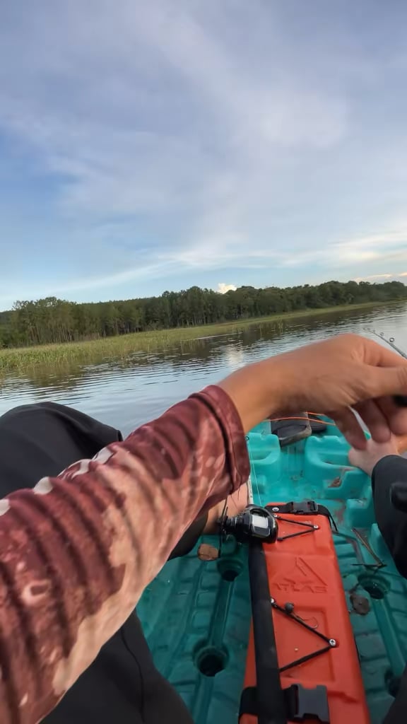 Pescaria de fim de tarde, a maior piranha que já peguei na vida