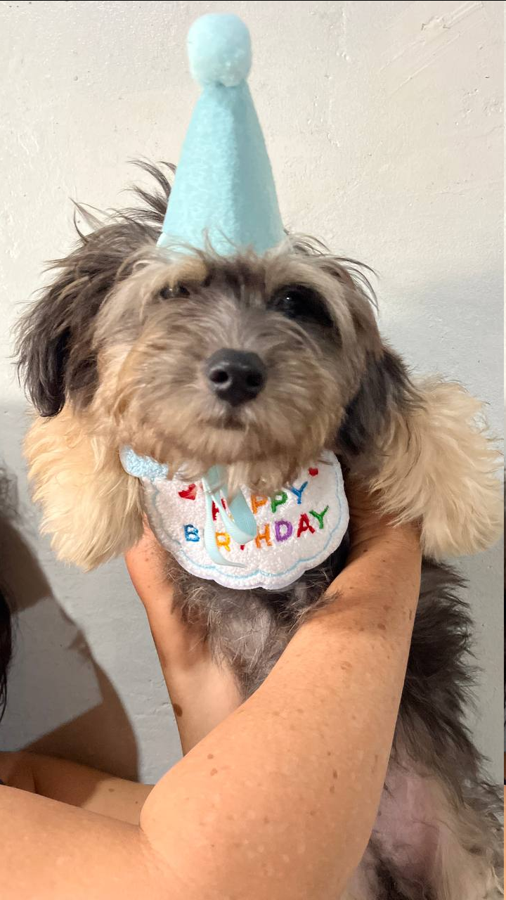 Its her 8th birthdayyy!!