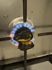 Smiling face appears while roasting peppers