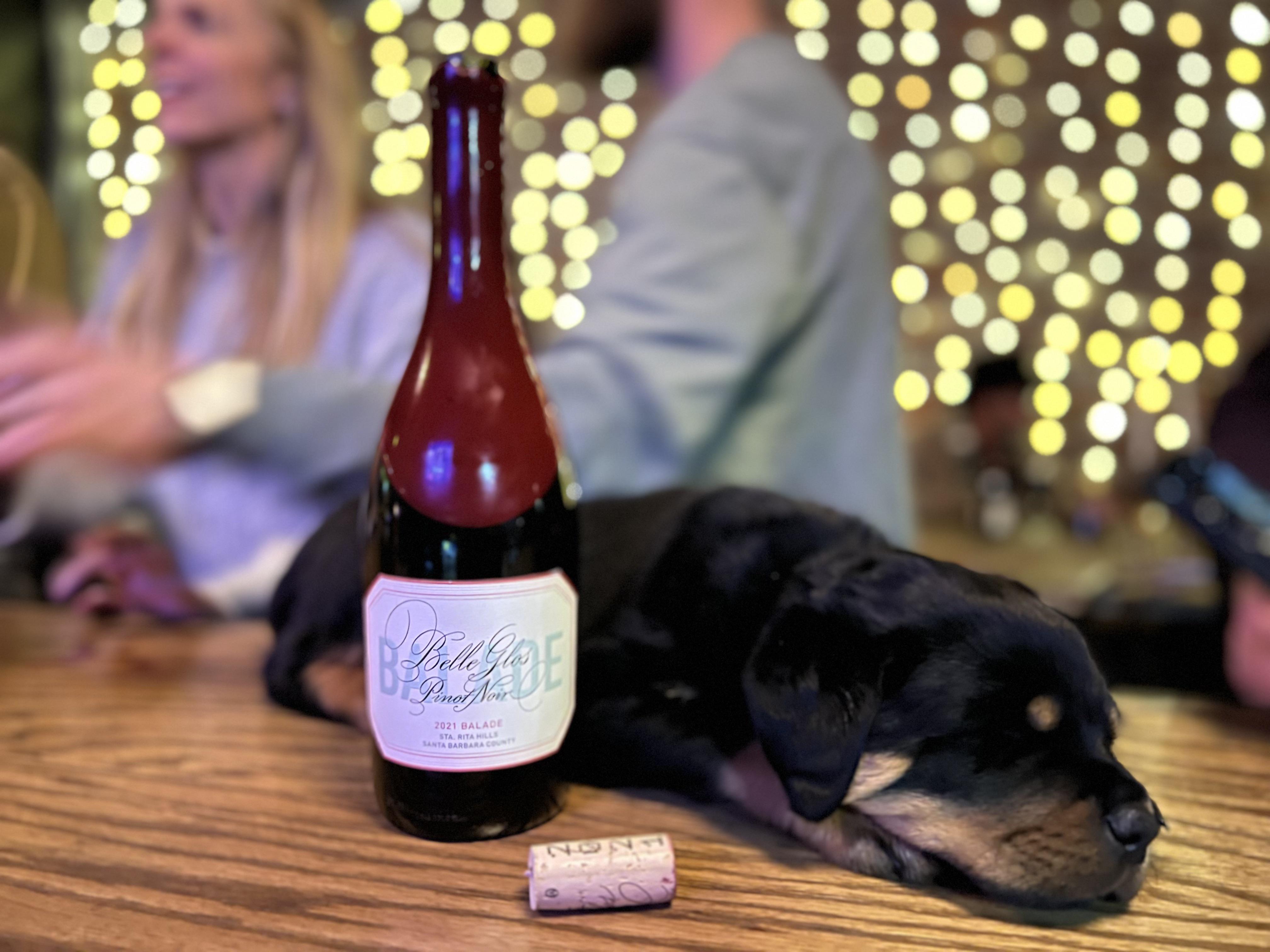 Took my boy Ernie to the wine bar