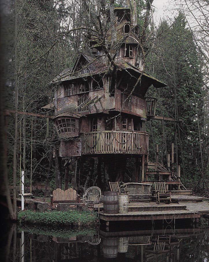 Wicked Treehouse in Redmond, Washington 🇺🇸