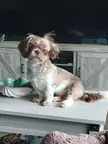 "I can see out the window better from here"