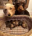 Our First Family Photo.