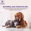 National Hug Your Cat Day | PetsFamilia