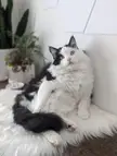 Handsome Guy