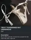 Posted for Sale on Facebook: "Sexy" Taxidermy Rat Underwear