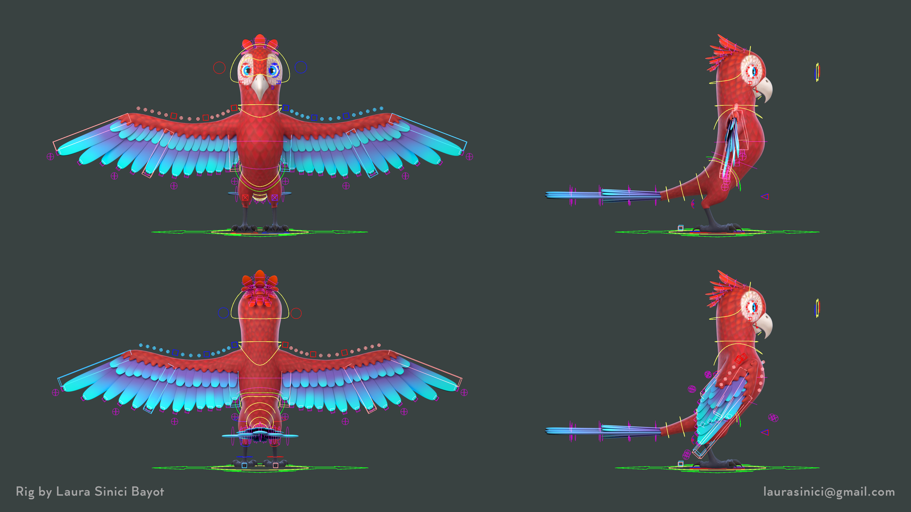 I made my first bird rig! You can see it animated in the comments ...