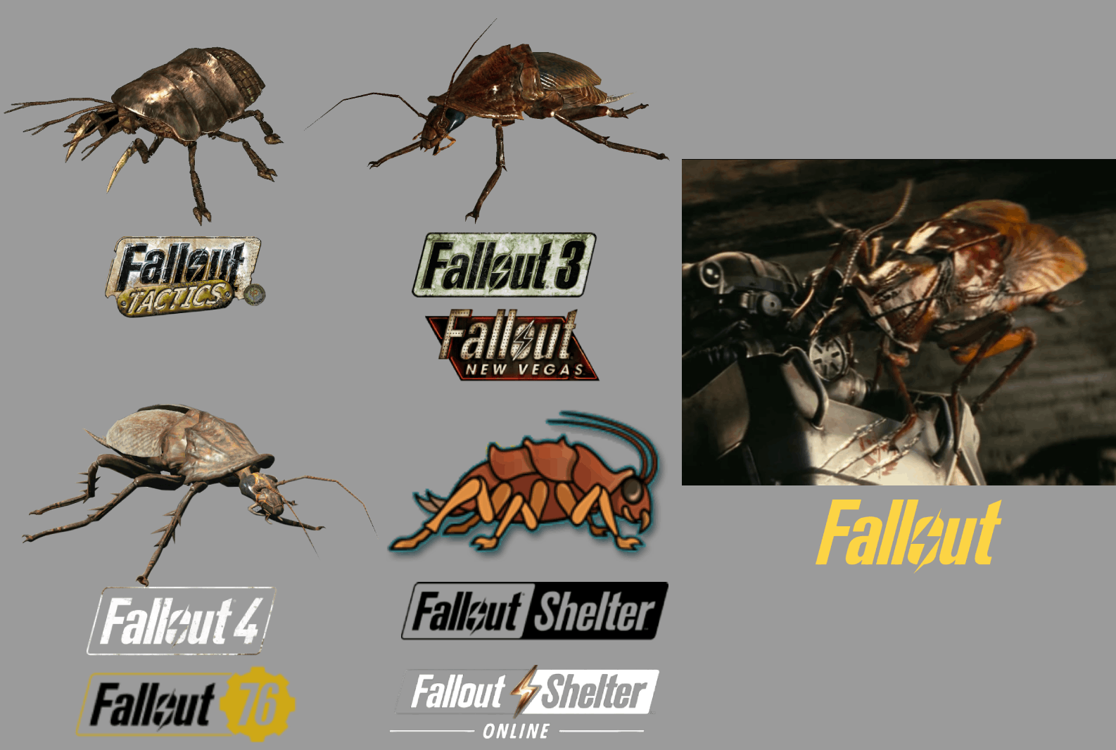 Fnv Radroach New vs Old Designs #68: Cockroach/Radroach! | Scrolller
