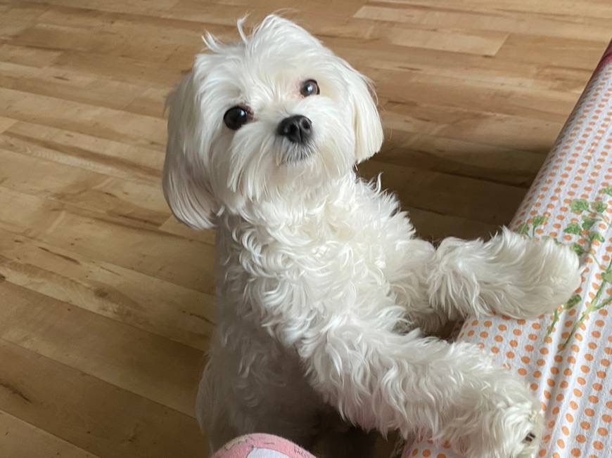 Please sir I want some more!