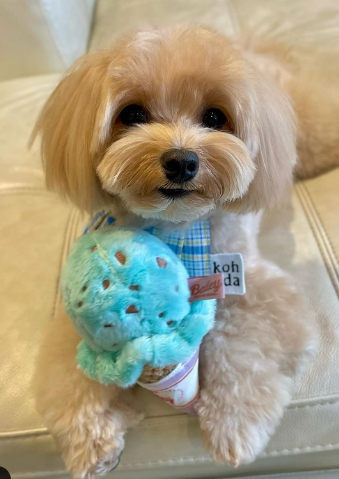Cute rate 1 - 10