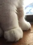 Hello