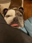 Dad, quit reading. It's time for bed