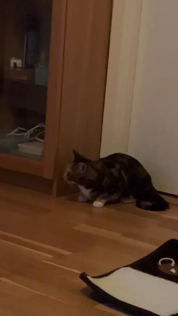 Dancing or startled?