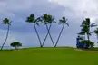 16th hole at the Sony Open this week.