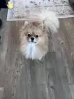 Is there also something for me to eat?