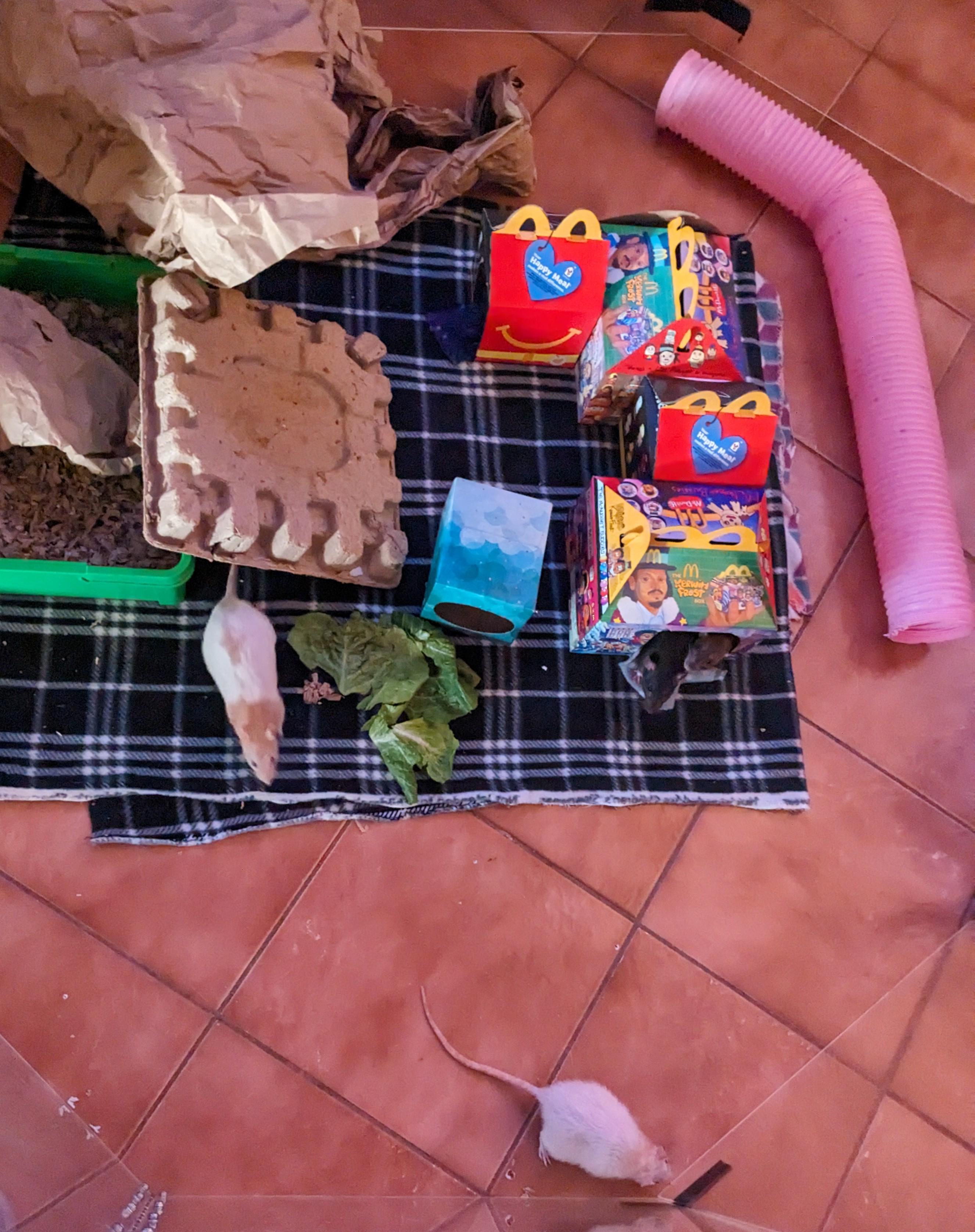 Rat Mc Mansion I made.