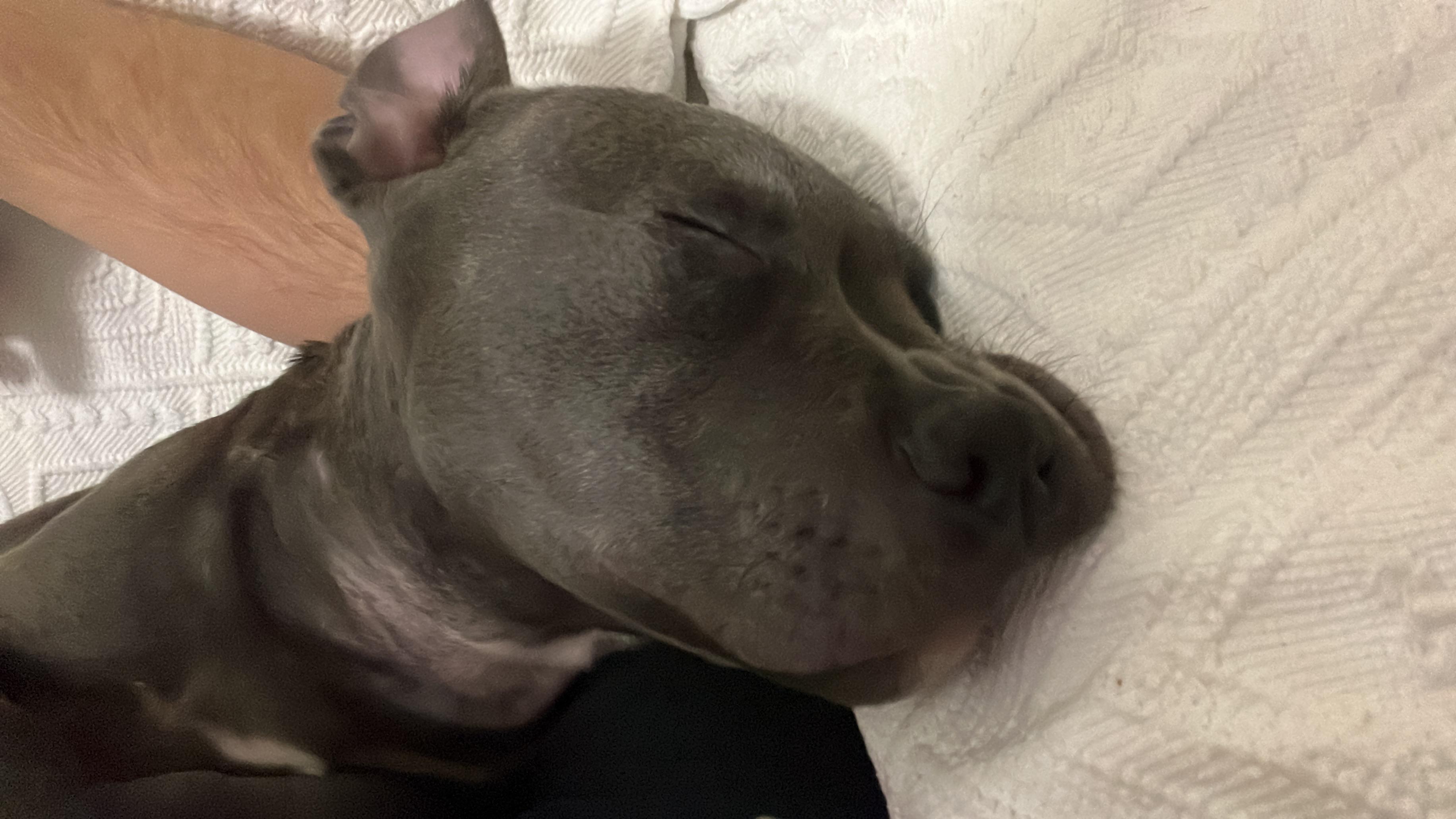 The missile is very eepy | Scrolller