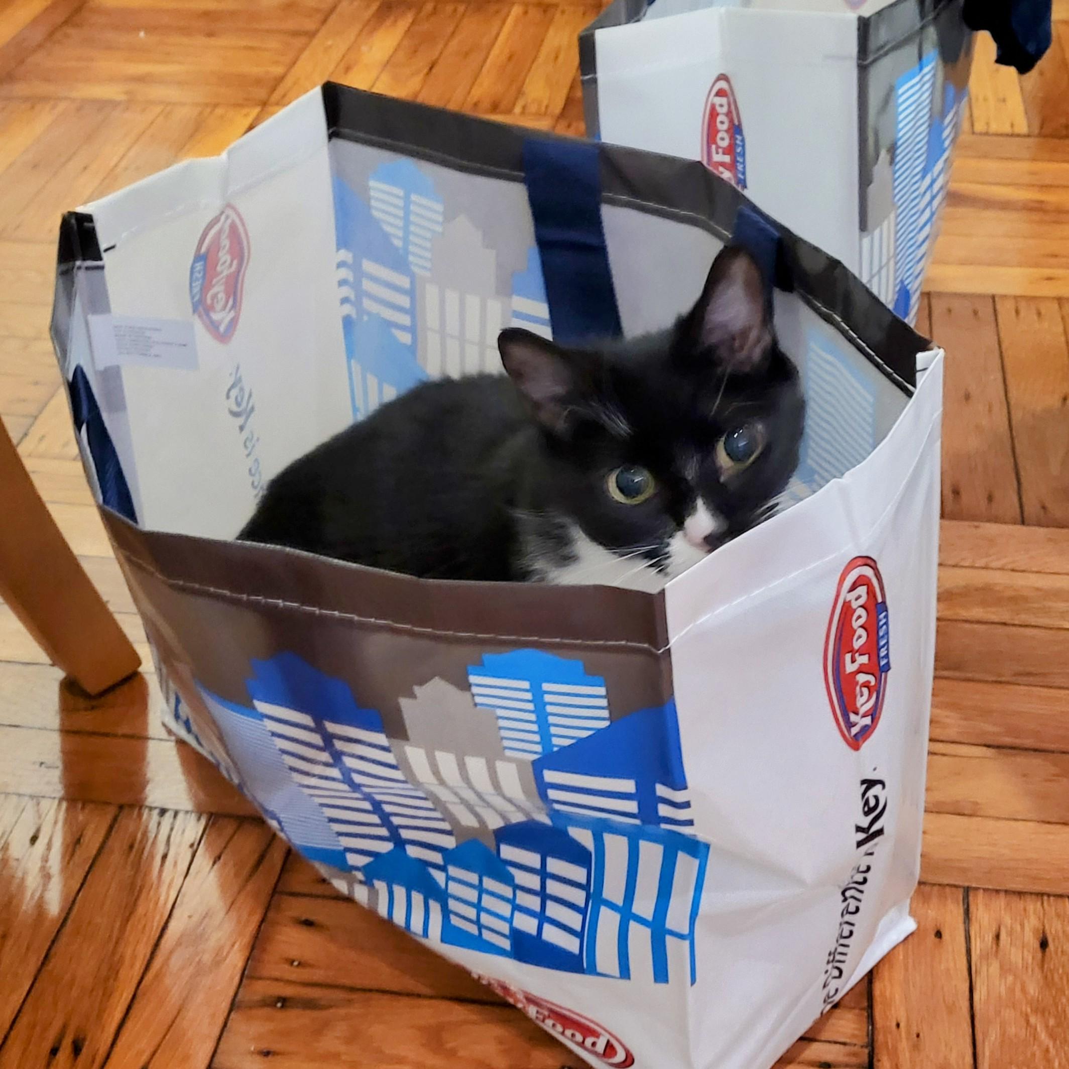 If it fits!