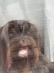Window face.