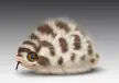 Fluffy Hognose Snek. by silverfox5213