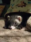 What Can I Do to Help Her?